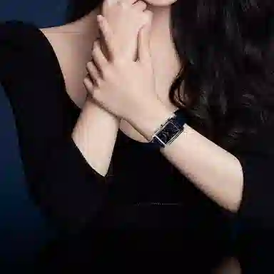 LONGINES 30 23.3mm 23.30*37.00mm L5.512.4.93.6