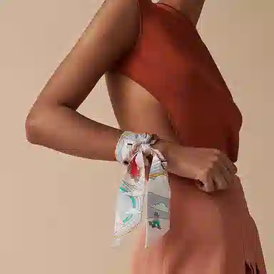 Hermes Carres Volants Twilly