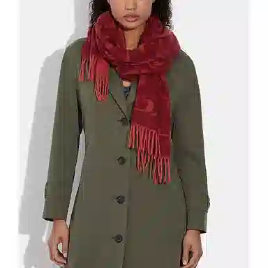COACH Scarf