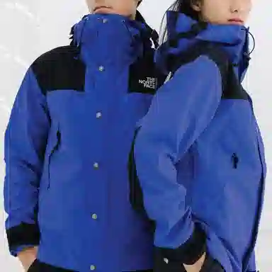 THE NORTH FACE 1990 Mountain Jacket