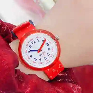 SWATCH 30 FPNP026C