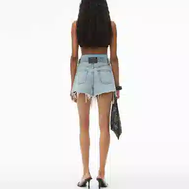 Alexander Wang Bite Shorts