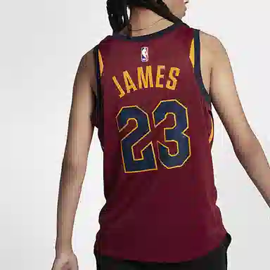 Nike NBA Jersey Icon Edition LeBron James 23 Cleveland Cavaliers