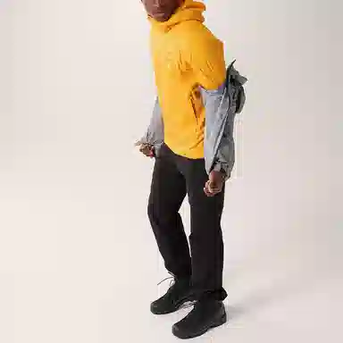 Arcteryx Atom Hoody