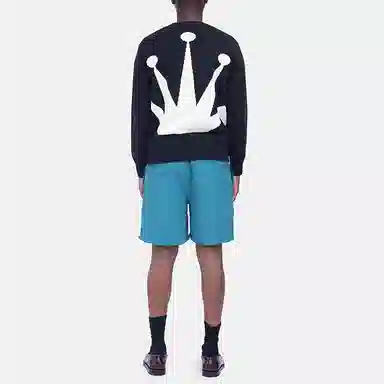 Stussy Stock Water Short Logo