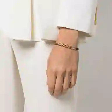 Alexander McQueen Logo