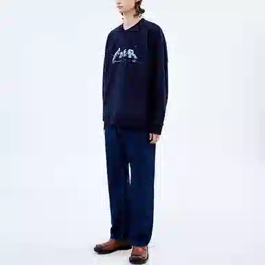 ADER ERROR V