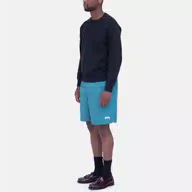 Stussy Stock Water Short Logo