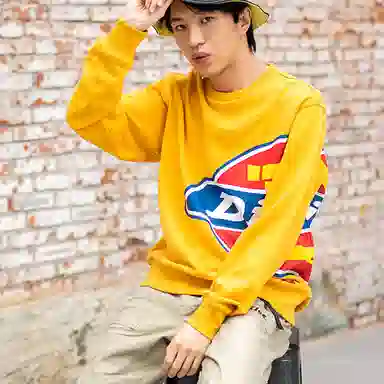 Dickies Logo
