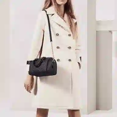 LOUIS VUITTON Speedy 20