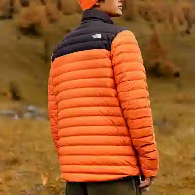 The North Face