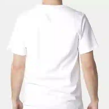 levis LogoT