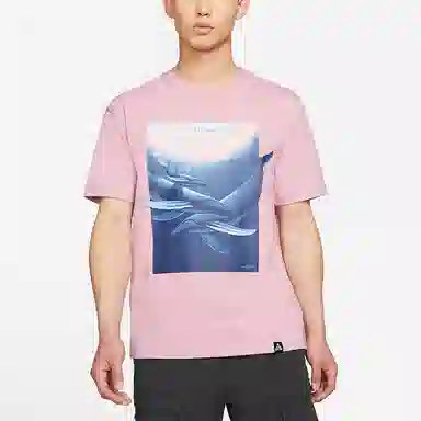 Nike ACG "Wyland" T