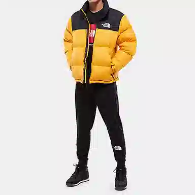 THE NORTH FACE Men's 1996 Retro Nuptse Jacket 700