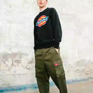 Dickies SS21 Logo