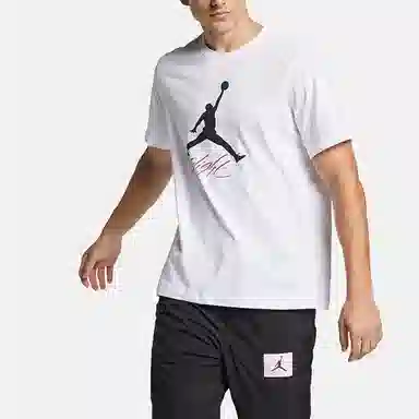 Air Jordan Flight T