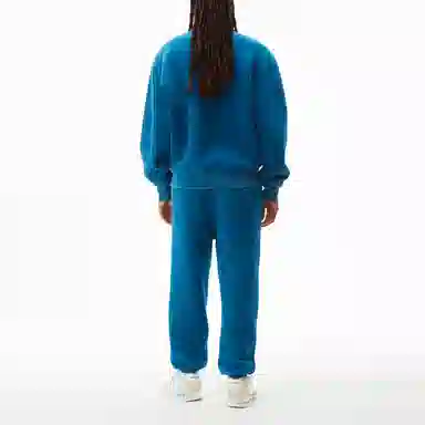 alexander wang Logo
