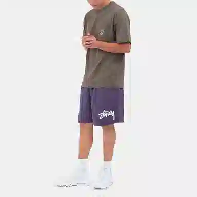 Stussy Logo Shorts
