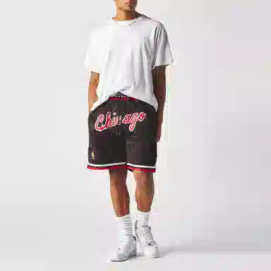 Mitchell Ness Just Don 1996