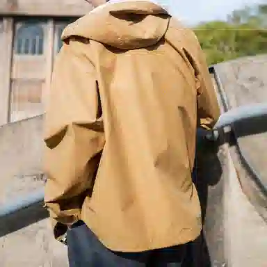 Dickies Logo