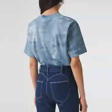 Burberry SS21 HorseferryT