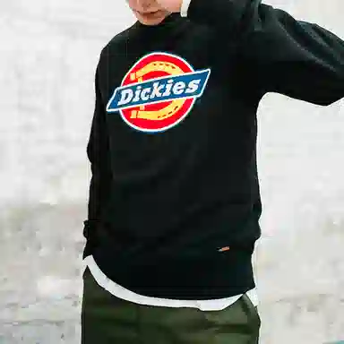 Dickies SS21 Logo