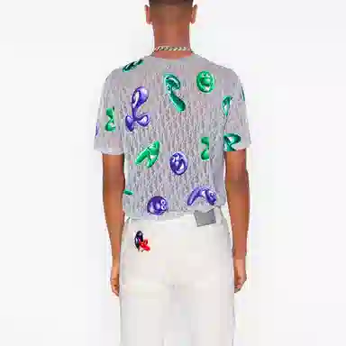 DIOR DIOR T