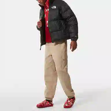 THE NORTH FACE 1996 Retro Nupts 700