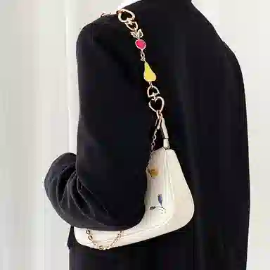 兰宝梵 包周边 蔻驰田园麻将包 改造延长链萝卜 粒网红风搭配 铜链装饰包带 女款