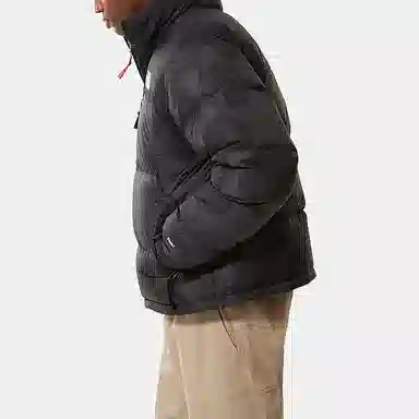 THE NORTH FACE 1996 Retro Nupts 700