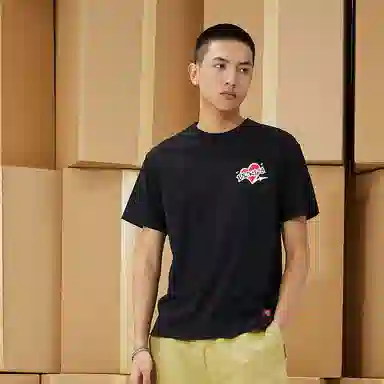 Dickies logoT