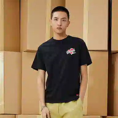 Dickies logoT