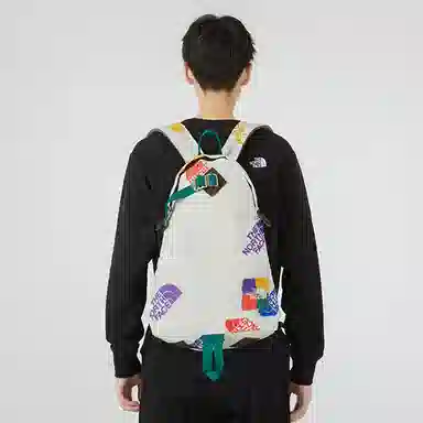 The North Face 17L Backpack