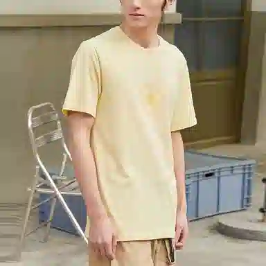 Converse T