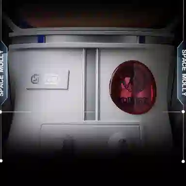 POP MART MEGA SPACE MOLLY 1000