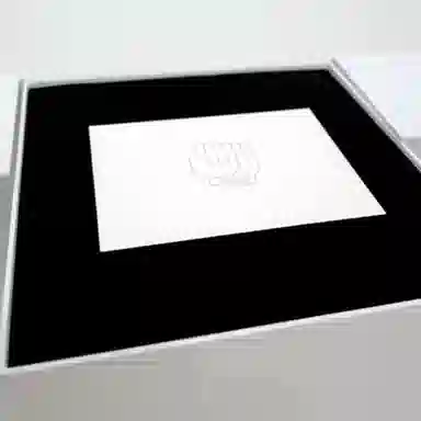 POP MART DIMOO BWL 22cm