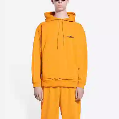 Balenciaga SS22 Lny Tiger Logo