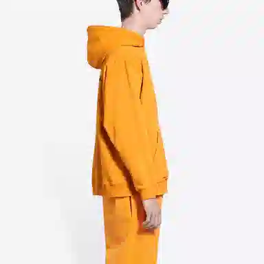 Balenciaga SS22 Lny Tiger Logo