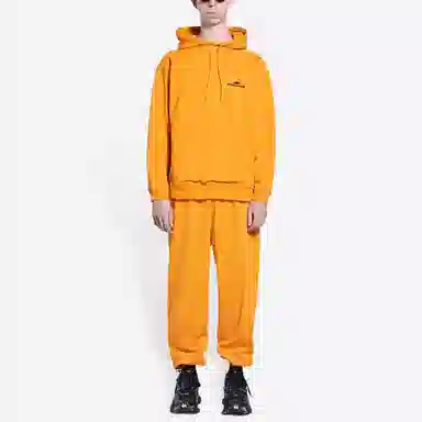 Balenciaga SS22 Lny Tiger Logo