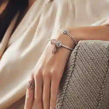 Pandora Rose Life Bracelet Set