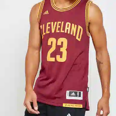 adidas SW Cleveland Cavaliers LeBron James Jersey