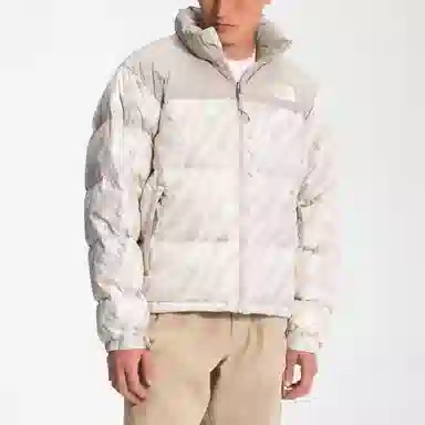 The North Face 1996 Retro Nuptse Silver Grey White