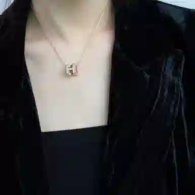 HERMES Cage Dh