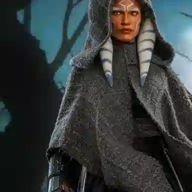 Hot Toys 16 dx20 28.5cm