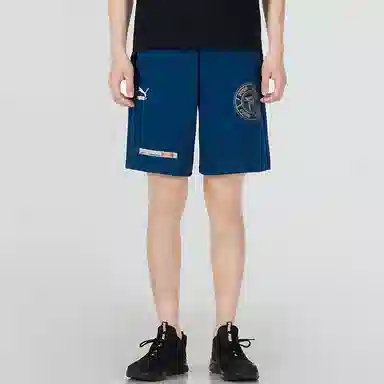 Puma Shorts Blue
