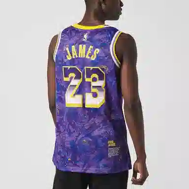 Nike NBA James 23 Jersey