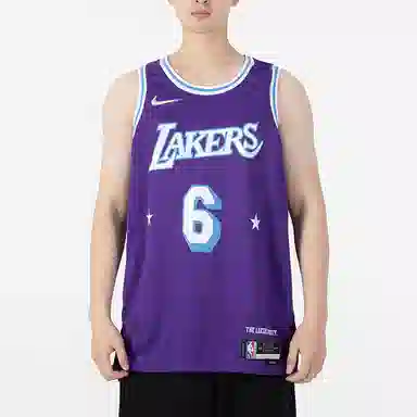 Nike NBA Los Angeles Lakers LeBron James 6 Jersey