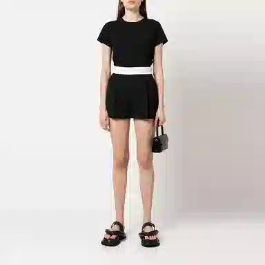 alexander wang FW22 LogoT