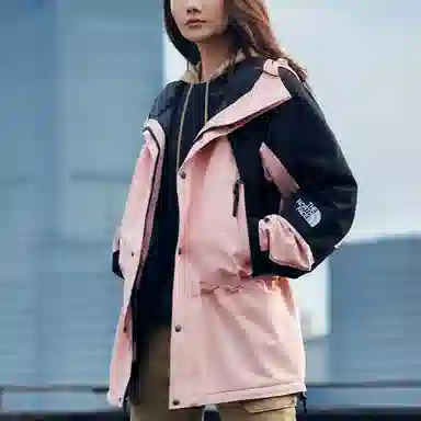 The North Face 1994 Icon Jacket