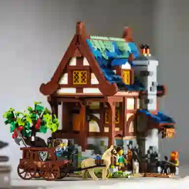 LEGO IDEAS 21325